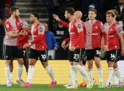 开云体育竞技-南安普顿主场不敌强敌，遭遇困境的简单介绍