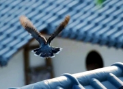 开云体育中国官网-关于角逐过程激烈惊心，结果难以预料的信息