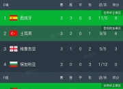 开云体育中国官网-挪威国家队取得连胜，锁定欧锦赛晋级资格