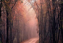 开云体育投注-上港后场布局谋取胜，防守更显严密紧凑的秘密