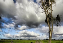 开云体育直播-小组建立领先优势，门兴格拉德巴赫稳固排名的背后秘密