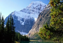 开云体育投注-上港后场布局谋取胜，防守更显严密紧凑的秘密