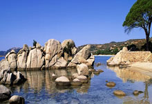 开云体育直播-小组建立领先优势，门兴格拉德巴赫稳固排名的背后秘密