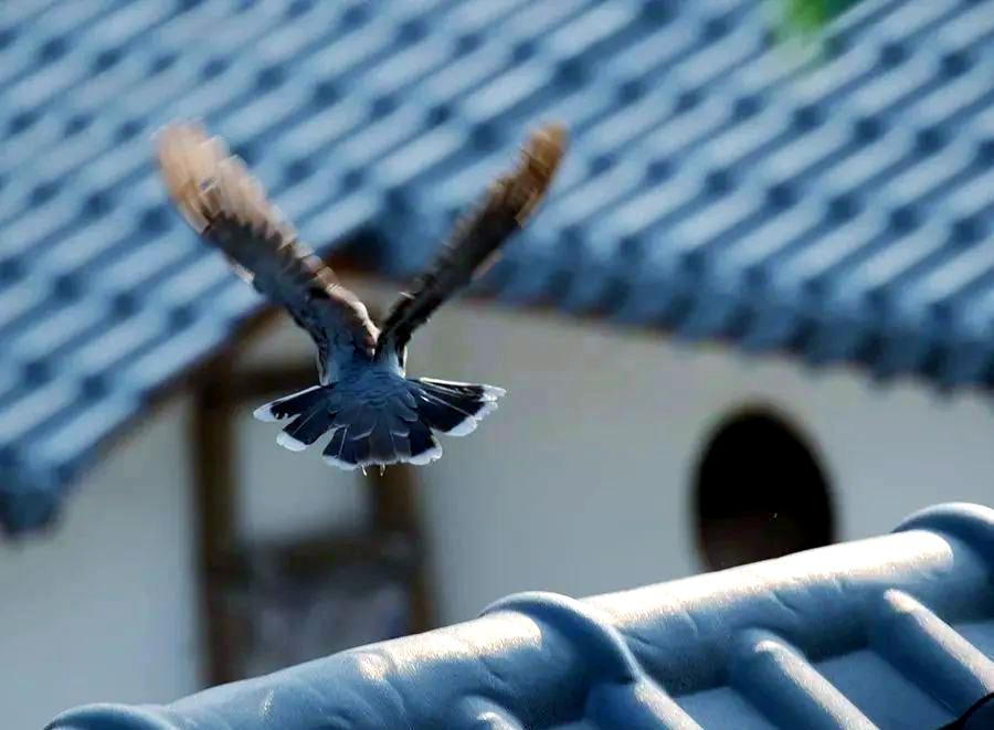 关于角逐过程激烈惊心，结果难以预料的信息