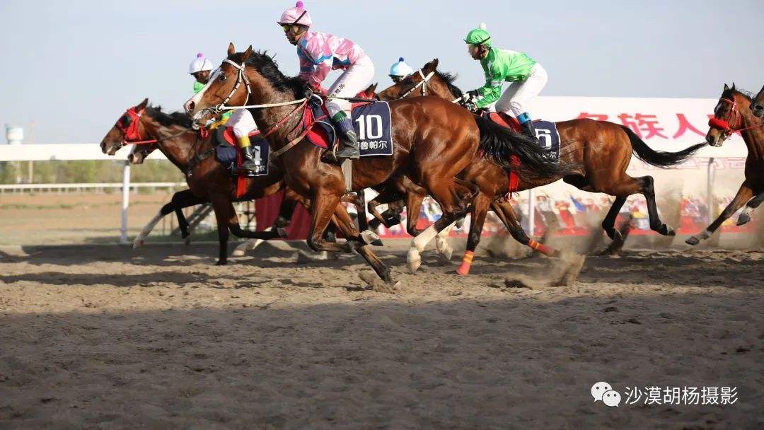 关于角逐过程激烈惊心，结果难以预料的信息