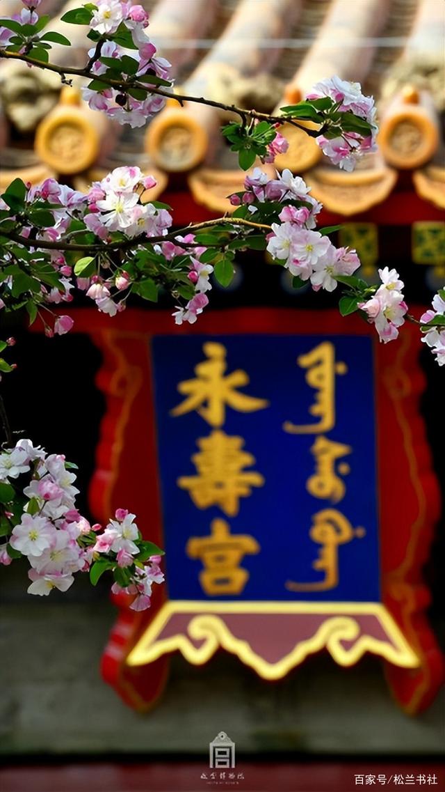 关于广东深圳主场战平北京故宫，保持不败的信息